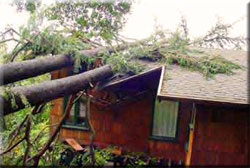 Storm Damage Emergency